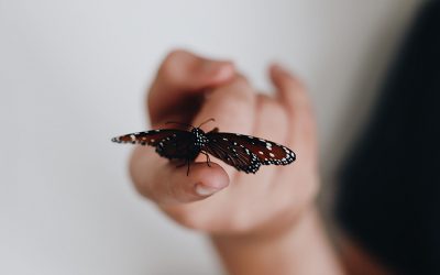 آیا مشاوره ژنتیک برای تشخیص و پیشگیری از بیماری پروانه ای موثر است؟