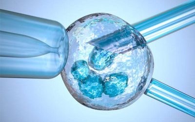 منظور از فرآیند PGD مولکولی چیست؟