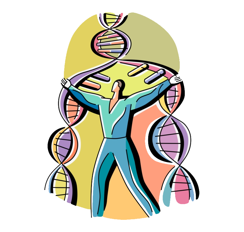 شبیه سازی ژنتیکی