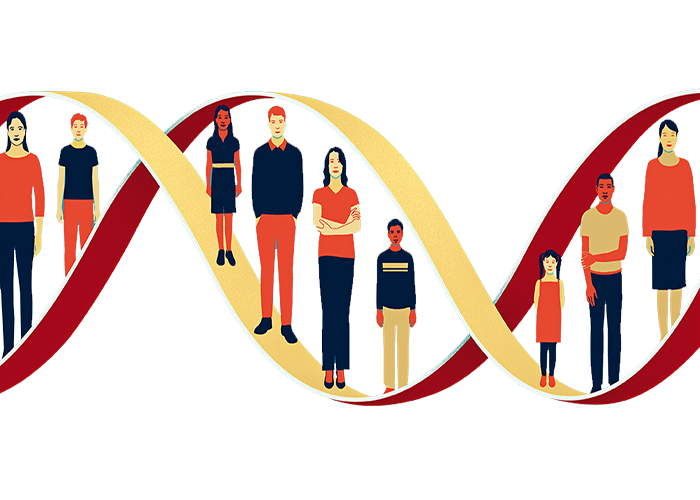 نحوه همانند سازی ژنتیکی