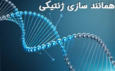 همانند سازی ژنتیکی