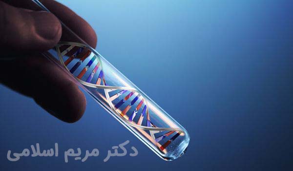 آزمایش مزلسون و استال